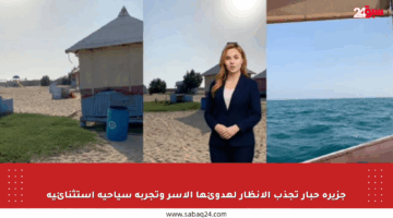 جزيرة حبار تجذب الأنظار لهدوئها الآسر وتجربة سياحية استثنائية